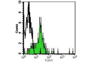 anti-Toll-Like Receptor 2 (TLR2) antibody
