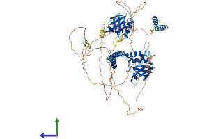 Protein Structure (PS) image for Actin Filament Associated Protein 1-Like 1 (AFAP1L1) (AA 1-768) protein (His tag) (ABIN7559043)