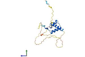 Protein Structure (PS) image for Distal-Less Homeobox 6 (DLX6) (AA 1-175) protein (His tag) (ABIN7556714)