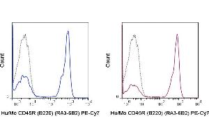 C57Bl/6 splenocytes were stained with 0. (CD45 Antikörper  (PE-Cy7))