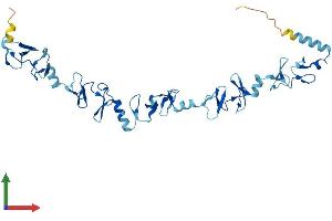 Protein Structure (PS) image for LIM and Senescent Cell Antigen-Like Domains 2 (LIMS2) (AA 1-341) protein (His tag) (ABIN7549088)