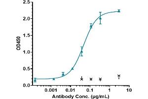 Immobilized human IL-6 His at 2 μg/mL can bind Anti-IL-6 / IFNb2 Reference Antibody (MEDI 5117), EC50=0.