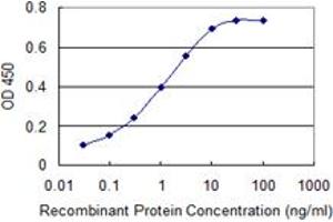 Detection limit for recombinant GST tagged KIT is 0. (KIT Antikörper  (AA 41-140))