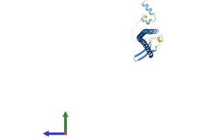 AlphaFold protein structure predicition of Human Recombinant STMN4 Protein, UniprotID Q9H169