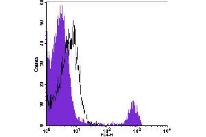 Flow Cytometry (FACS) image for anti-CD8 (CD8) antibody (APC) (ABIN2144215) (CD8 Antikörper  (APC))