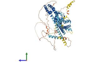 AlphaFold protein structure predicition of Mouse Recombinant Kcnd1 Protein, UniprotID Q03719 (KCND1 Protein (AA 1-651) (His tag))
