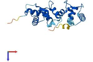 AlphaFold protein structure predicition of Human Recombinant CIB3 Protein, UniprotID Q96Q77