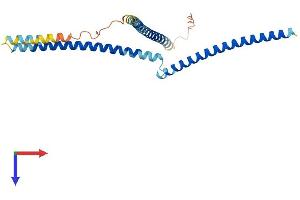 FGFR1OP2 Protein (AA 1-253) (His tag)