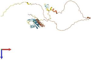 Protein Structure (PS) image for Splicing Factor, Arginine/Serine Rich 7 (SFRS7) (AA 1-267) protein (His tag) (ABIN7558733)