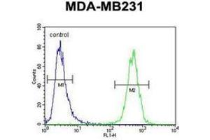Flow cytometric analysis of MDA-MB231 cells using AP52042PU-N (right histogram) compared to a negative control cell (left histogram). (HHLA2 Antikörper  (N-Term))