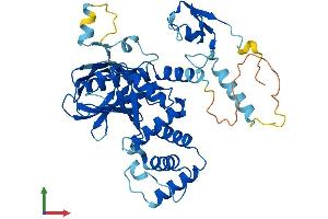 Protein Structure (PS) image for Myosin Regulatory Light Chain Interacting Protein (MYLIP) (AA 1-445) protein (His tag) (ABIN7558753)