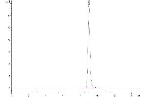 The purity of Human GIP is greater than 95 % as determined by SEC-HPLC. (GIP Protein (AA 22-93) (His tag))