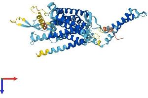 LMBRD1 Protein (AA 1-537) (His tag)