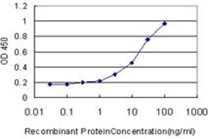 Detection limit for recombinant GST tagged HIPK1 is approximately 0. (HIPK1 Antikörper  (AA 330-430))