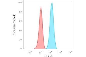 Flow Cytometric Analysis of T98G cells using GFAP Rabbit Recombinant Monoclonal Antibody (ASTRO/1974R) followed by Goat anti-Rabbit IgG-CF488 (Blue); Isotype Control (Red). (Rekombinanter GFAP Antikörper)