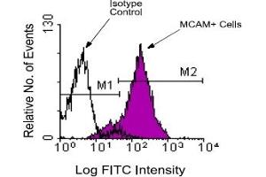 Flow Cytometry (FACS) image for anti-Melanoma Cell Adhesion Molecule (MCAM) antibody (ABIN371423) (MCAM Antikörper)