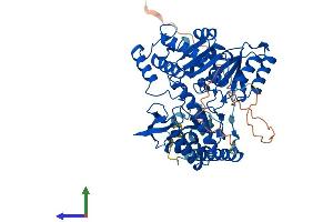AlphaFold protein structure predicition of Mouse Recombinant Sptlc2 Protein, UniprotID P97363