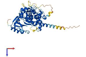 IPPK Protein (AA 1-491) (His tag)
