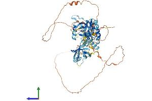 Protein Structure (PS) image for Amyloid beta (A4) Precursor Protein-Binding, Family A, Member 3 (APBA3) (AA 1-575) protein (His tag) (ABIN7552310)