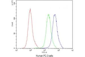 Flow Cytometry (FACS) image for anti-ATG14 Autophagy Related 14 (ATG14) antibody (ABIN4950253)