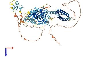 RNF112 Protein (AA 1-631) (His tag)