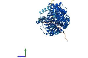 Protein Structure (PS) image for Solute Carrier Family 6 (Neutral Amino Acid Transporter), Member 19 (SLC6A19) (AA 1-634) protein (His tag) (ABIN7555431)