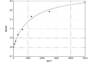 Cbl Proto-Oncogene B, E3 Ubiquitin Protein Ligase (CBLB) ELISA Kit