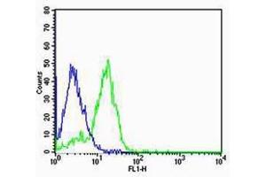 SK-N-MC cells probed with SDFR1/NPTN Polyclonal Antibody, unconjugated  at 1:100 dilution for 30 minutes compared to control cells (blue) and isotype control (orange) (NPTN Antikörper  (AA 51-150))