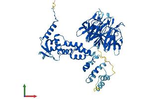 Protein Structure (PS) image for Kelch-Like 23 (KLHL23) (AA 1-558) protein (His tag) (ABIN7557917)