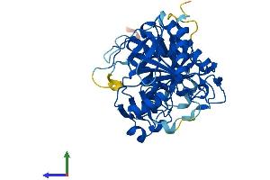 Protein Structure (PS) image for Chromosome 15 Open Reading Frame 58 (C15orf58) (AA 1-385) protein (His tag) (ABIN7547986)