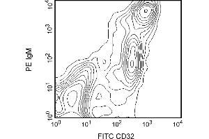 Flow Cytometry (FACS) image for anti-Fc gamma RII (CD32) antibody (ABIN967282)