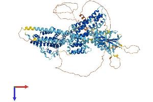 RASGRF1 Protein (AA 1-1262) (His tag)