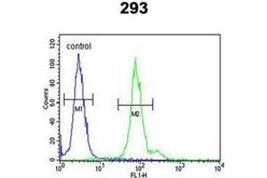Flow cytometric analysis of 293 cells using ID4 Antibody (N-term) Cat. (ID4 Antikörper  (N-Term))