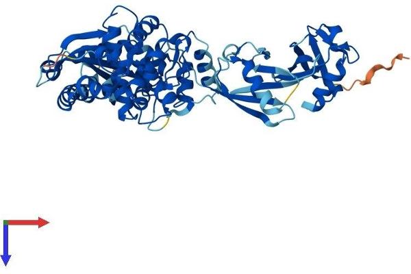 OASL Protein (AA 1-511) (His tag)