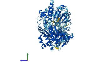 AlphaFold protein structure predicition of Human Recombinant ERCC2 Protein, UniprotID P18074 (ERCC2 Protein (AA 1-760) (His tag))