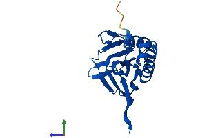 Protein Structure (PS) image for Chromosome 14 Open Reading Frame 126 (C14orf126) (AA 1-168) protein (His tag) (ABIN7547163)