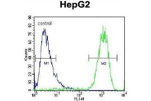 ATP5H Antibody (Center) flow cytometric analysis of HepG2 cells (right histogram) compared to a negative control cell (left histogram). (ATP Synthase Subunit D (AA 75-105), (Middle Region), (Subunit D) Antikörper)