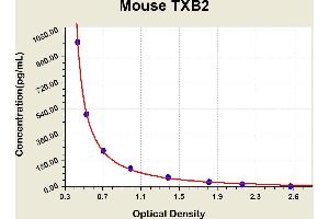 Diagramm of the ELISA kit to detect Mouse TXB2with the optical density on the x-axis and the concentration on the y-axis.