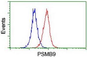 Image no. 3 for anti-Proteasome (Prosome, Macropain) Subunit, beta Type, 9 (Large Multifunctional Peptidase 2) (PSMB9) (AA 21-219) antibody (ABIN1491192) (PSMB9 Antikörper  (AA 21-219))