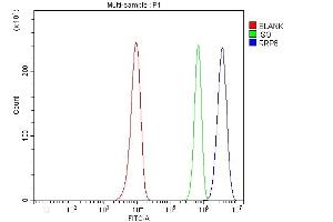 Flow Cytometry analysis of Hela cells using anti-RRP8 antibody (ABIN7600459). (RRP8 Antikörper  (AA 199-456))