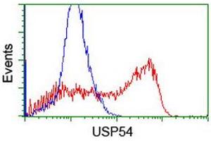 USP54 抗体  (AA 358-700)