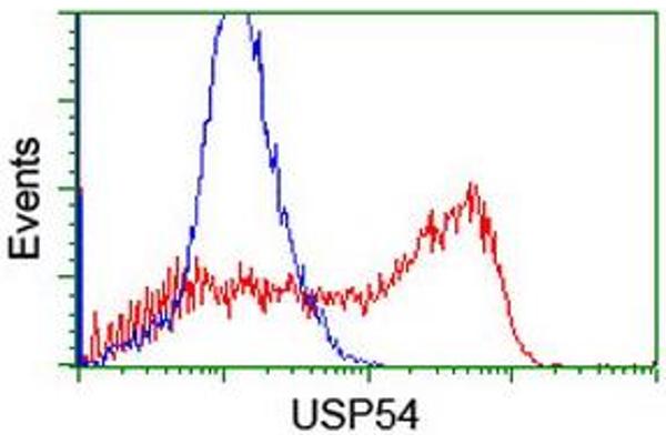 USP54 Antikörper  (AA 358-700)