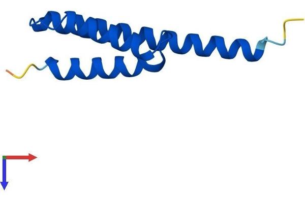 LYRM5 Protein (AA 1-86) (His tag)