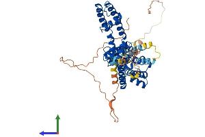 Protein Structure (PS) image for Potassium Voltage-Gated Channel, Shaker-Related Subfamily, Member 2 (KCNA2) (AA 1-499) protein (His tag) (ABIN7554322)