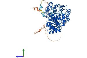 Protein Structure (PS) image for DEAD (Asp-Glu-Ala-Asp) Box Polypeptide 6 (DDX6) (AA 1-483) protein (His tag) (ABIN7556172)