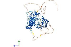 Protein Structure (PS) image for DEAD (Asp-Glu-Ala-Asp) Box Polypeptide 17 (DDX17) (AA 1-650) protein (His tag) (ABIN7563786)