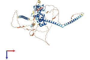SKIL Protein (AA 1-675) (His tag)