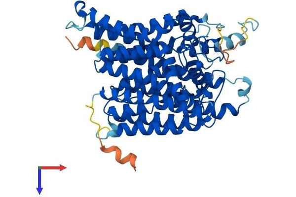 ALG8 Protein (AA 1-526) (His tag)