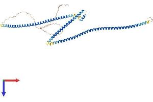 MIPOL1 Protein (AA 1-442) (His tag)