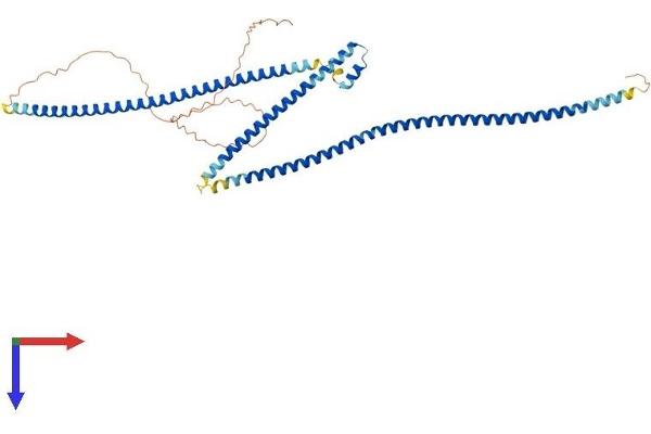 MIPOL1 Protein (AA 1-442) (His tag)